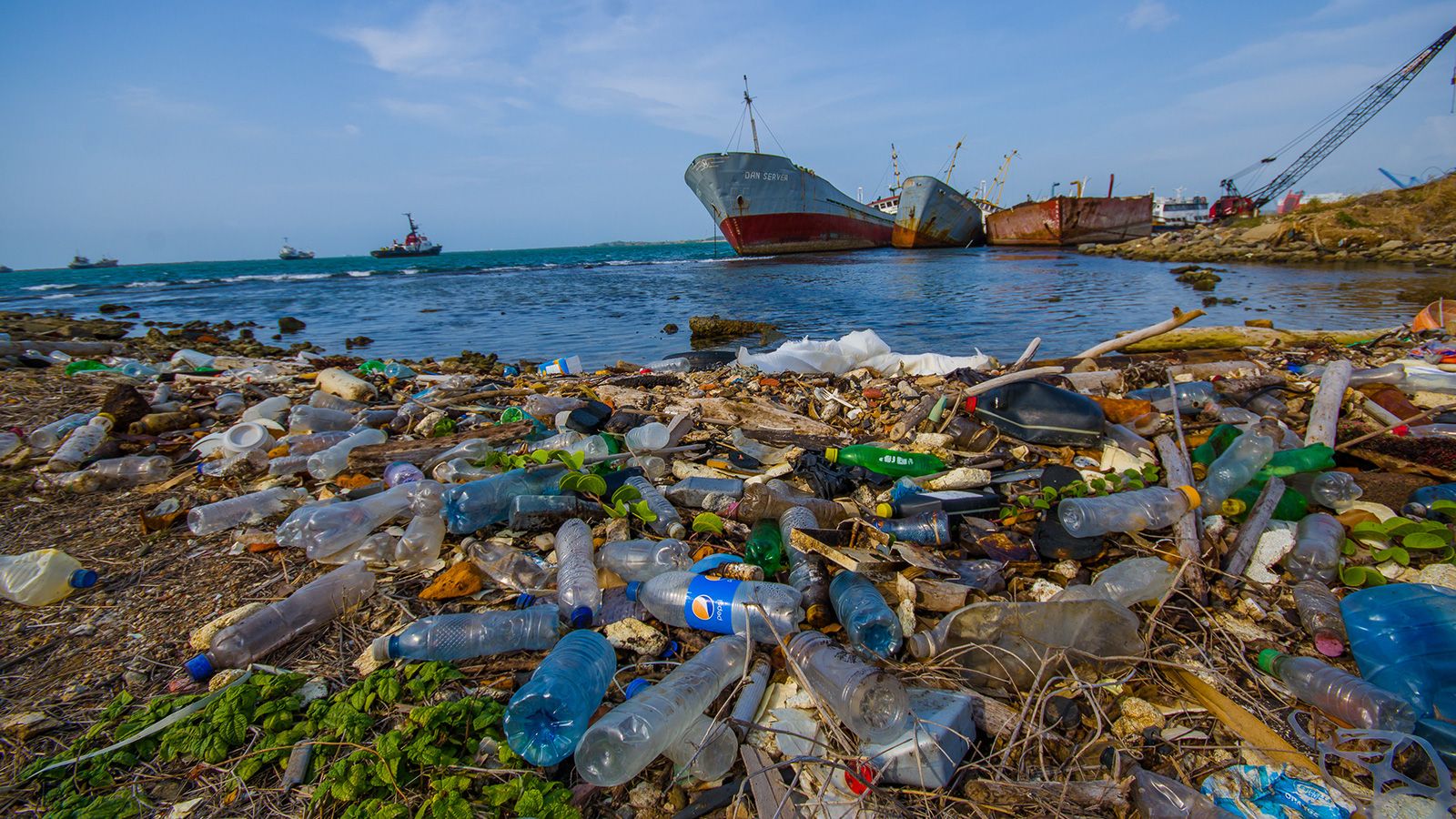 More plastic rubbish than fish in the ocean by 2050, report warns